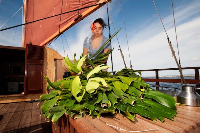 COSTA_InouyeSail_173