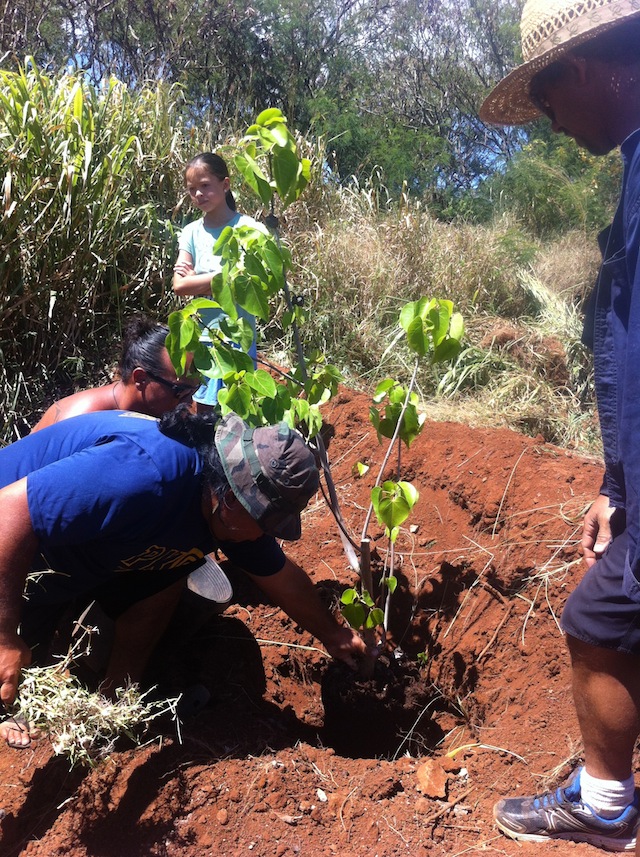 Sustainable Moloka'i 7-12-13  #2