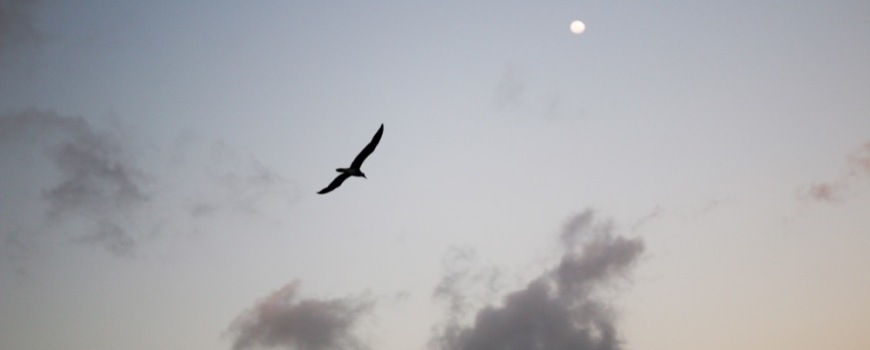 IMG_2783 -lowres
