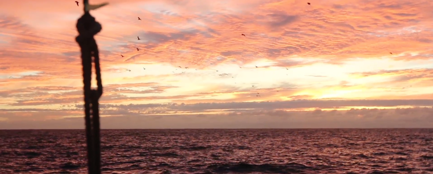 Screen Shot 2016-10-28 at 7.27.10 PM