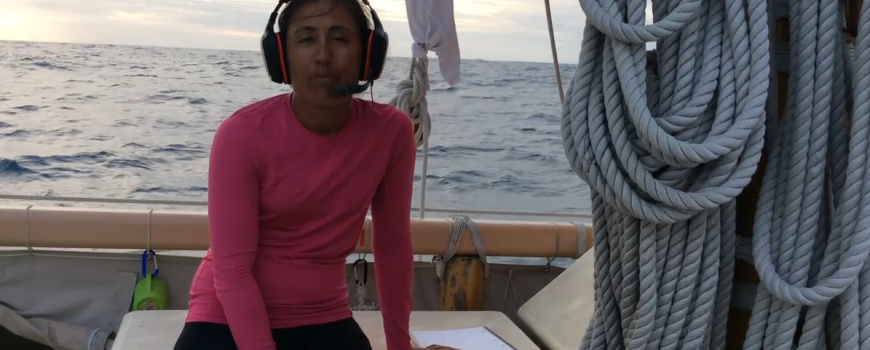 Hōkūleʻa Update | February 14, 2017: Noe’s Afternoon Update